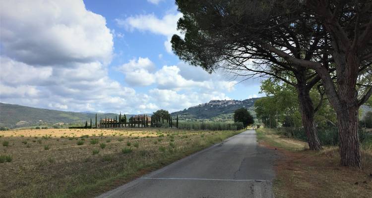 Toscana clásica - ciclismo de Florencia a Pisa - autoguiado clásico - BikesPlus Travel 7
