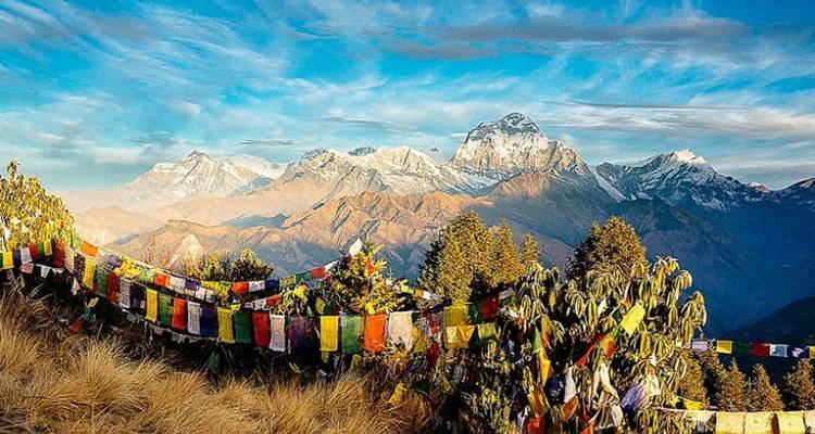 Senderismo Ghorepani Poon Hill - Peregrine Treks and Expedition Pvt Ltd 4