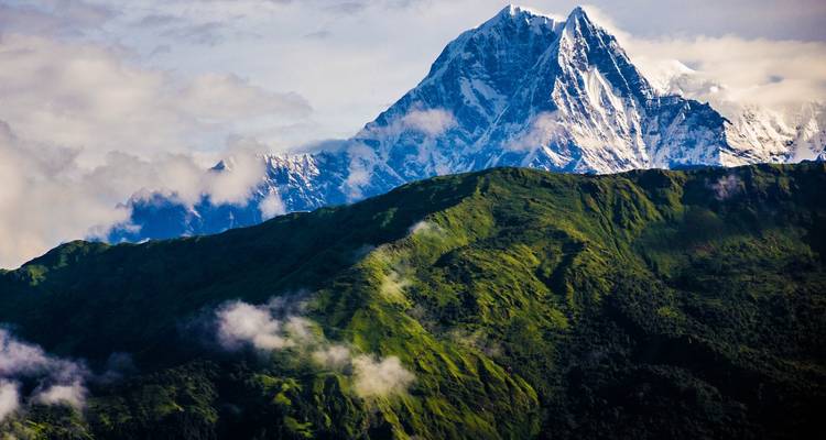 Senderismo Ghorepani Poon Hill - Peregrine Treks and Expedition Pvt Ltd 9