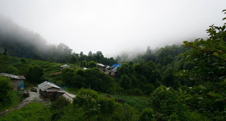 Senderismo Ghorepani Poon Hill - Peregrine Treks and Expedition Pvt Ltd 7