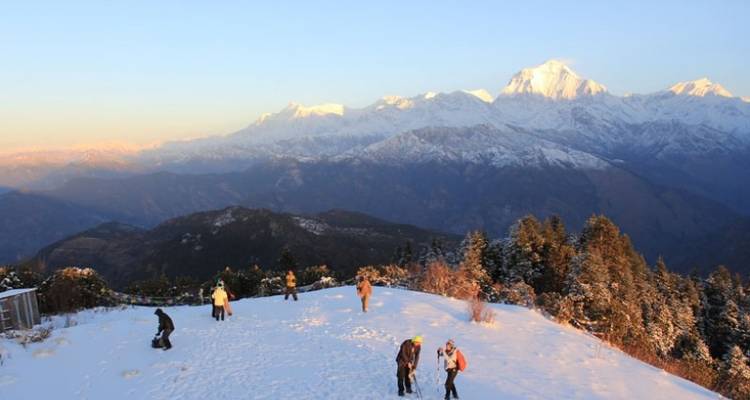 Senderismo Ghorepani Poon Hill - Peregrine Treks and Expedition Pvt Ltd 2