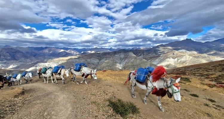 Senderismo por el Alto Dolpo - Trekking Planner Pvt. Ltd. 2