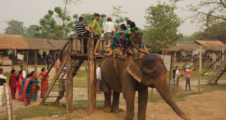 Parc national de Chitwan - 4 jours - Trekking Planner Pvt. Ltd. 7
