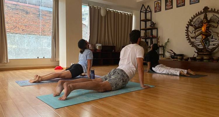 Participants de cours de yoga dans différentes postures dans un studio.