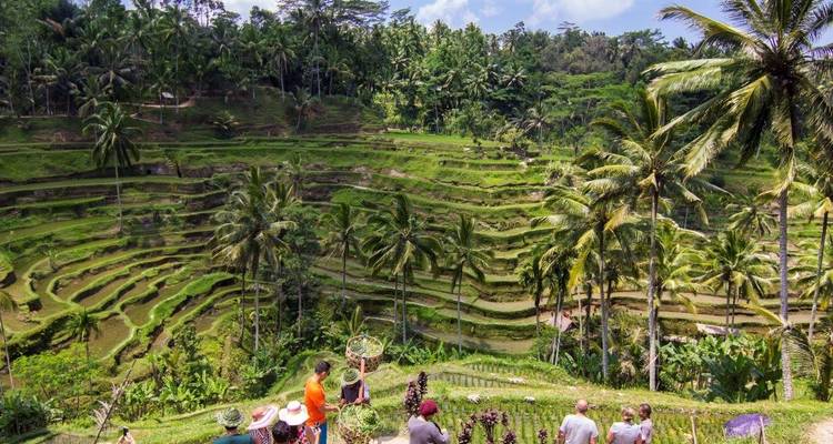 Templos, volcanes y playas, tour privado - Destination Services Indonesia 4