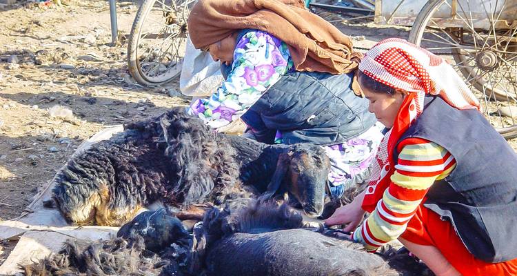 Aventure sur mesure dans le désert de Gobi au Xinjiang, départ quotidien - TravelChinaGuide 9