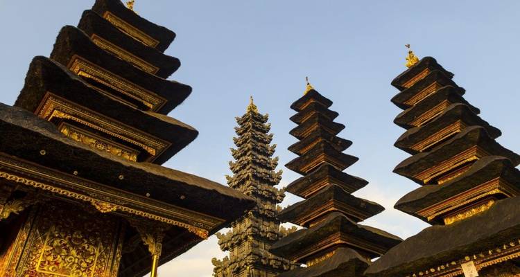 Bali Soft Aventure, visite privée - Destination Services Indonesia 3
