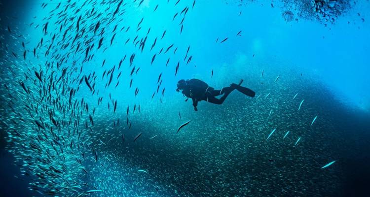 Las mejores Atracciones de Egipto vacaciones de 10 días / 9 noches - Your Egypt Tours 4