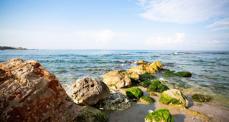Jewish Israel Luxury Tour 10 days - Booking Tours 4