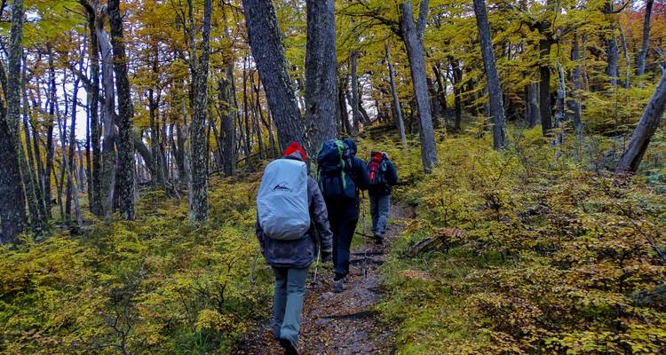 Argentina & Chile: Amazing Patagonia - 13 days - Say Hueque Argentina & Chile Journeys 8