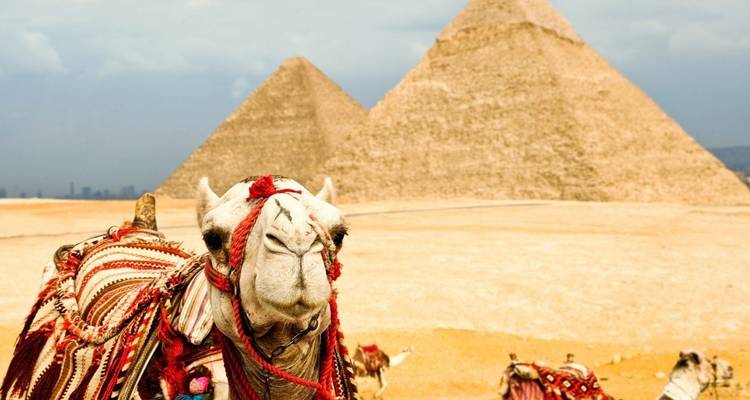 Expédition privée en Égypte - Your Egypt Tours 3
