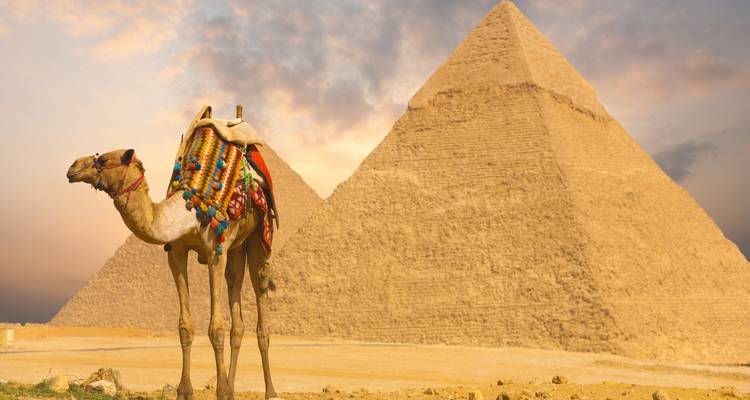 Vacaciones en familia en Egipto - Diversión y descubriendo - Your Egypt Tours 9