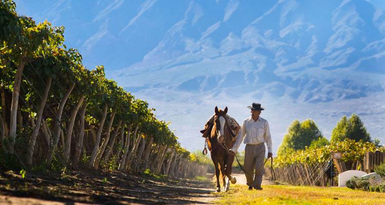 Le cœur du Nord : Salta et Jujuy - Say Hueque Argentina & Chile Journeys 8