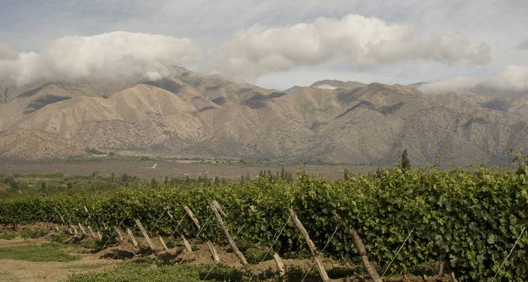 Le cœur du Nord : Salta et Jujuy - Say Hueque Argentina & Chile Journeys 9