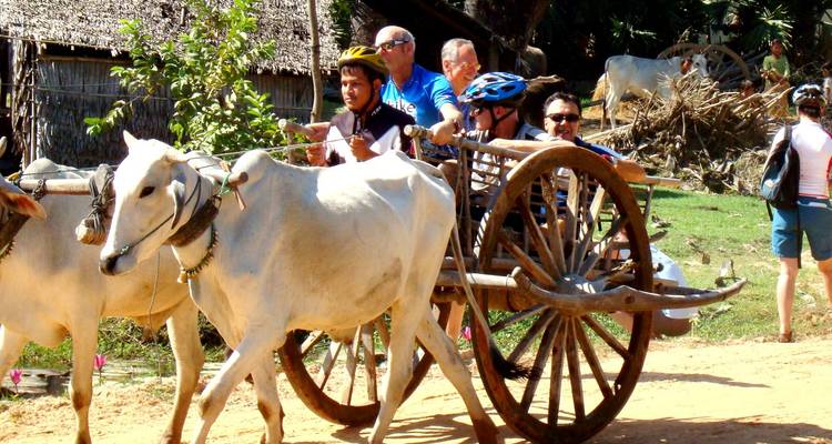 Tourists in a cart pulled by bulls on a dirt path.