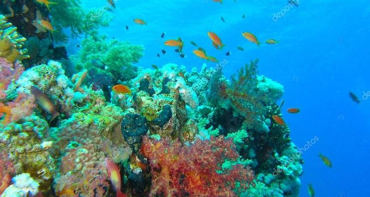 Faraones y playas - 13 días - Your Egypt Tours 7