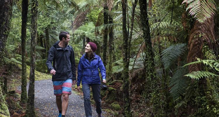 Southern Loop - Wild Kiwi 6