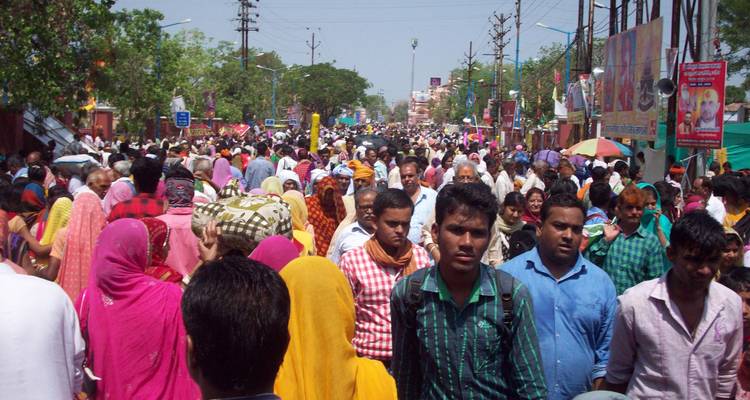 La piste des tigres en Inde - Vijay India Tours 10