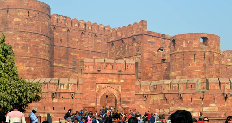 La piste des tigres en Inde - Vijay India Tours 3