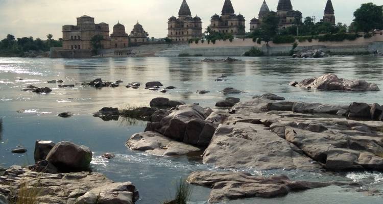 La piste des tigres en Inde - Vijay India Tours 2
