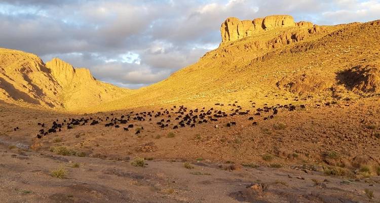 Excursionismo en Jebel Saghro 8 días - Easygo Tours 1