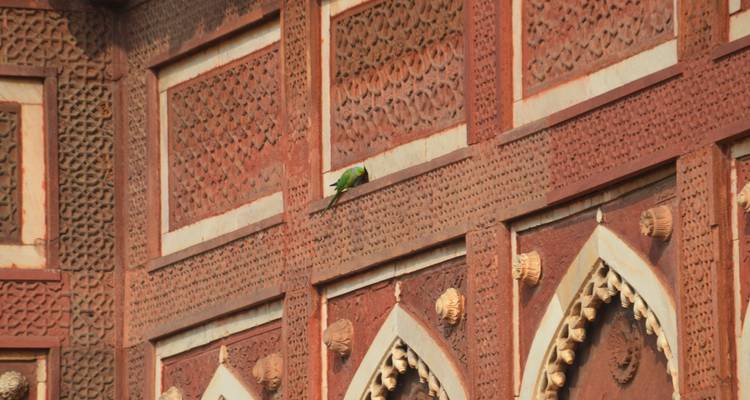 Saga indienne hebdomadaire - Vijay India Tours 10