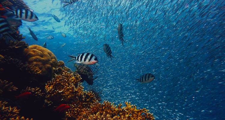 Paquete turístico el Cairo, Luxor y Hurghada 8 días / 7 noches - Your Egypt Tours 6