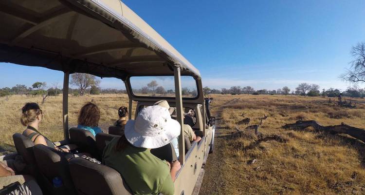 Botswana Baobabs - Sunway Safaris 7