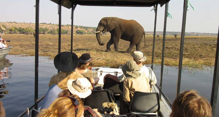 Botswana Baobabs - Sunway Safaris 9