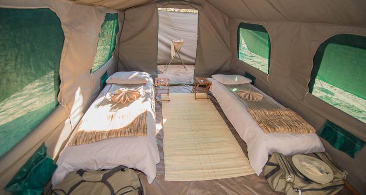 Botswana Baobabs - Sunway Safaris 6