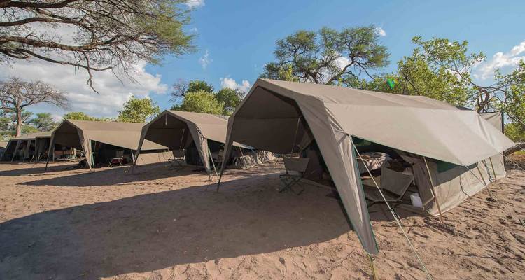 Botswana Baobabs - Sunway Safaris 4
