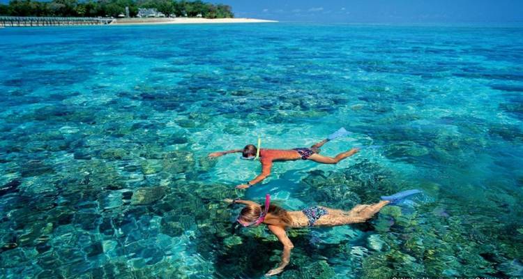Twee mensen die snorkelen in heldere oceaan bij een strand