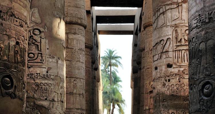 Colonnes avec des hiéroglyphes et un palmier en arrière-plan.