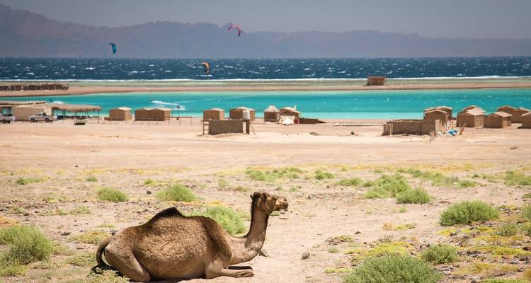 Circuit spirituel en Égypte 8 jours, 7 nuits - Your Egypt Tours 4