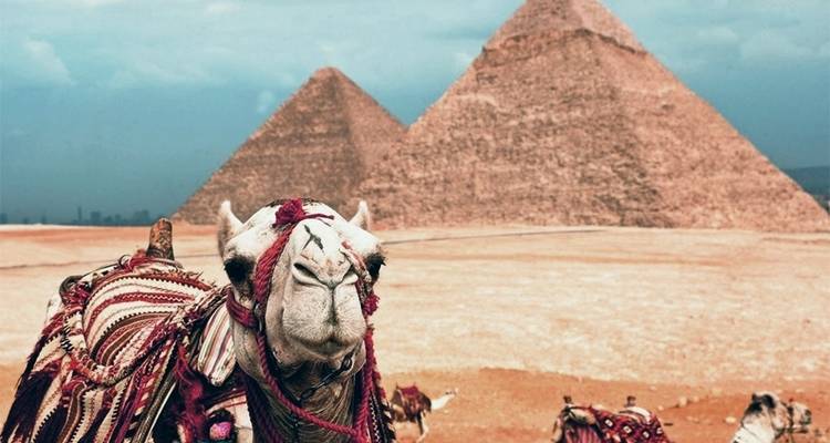Odisea egipcia - Your Egypt Tours 3