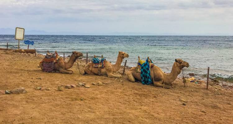 Luxurious Egypt (5* Nile cruise/ hurghadal all inclusive )with  domestic flight - Beyond The Nile Tours 10