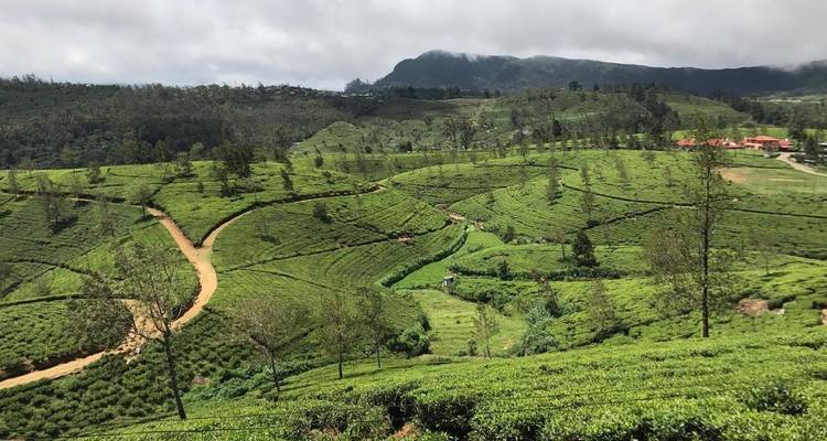Circuito de 6 días y 5 noches por Sri Lanka - Cambio gratuito a circuito privado - Beauty Lanka Travels 10