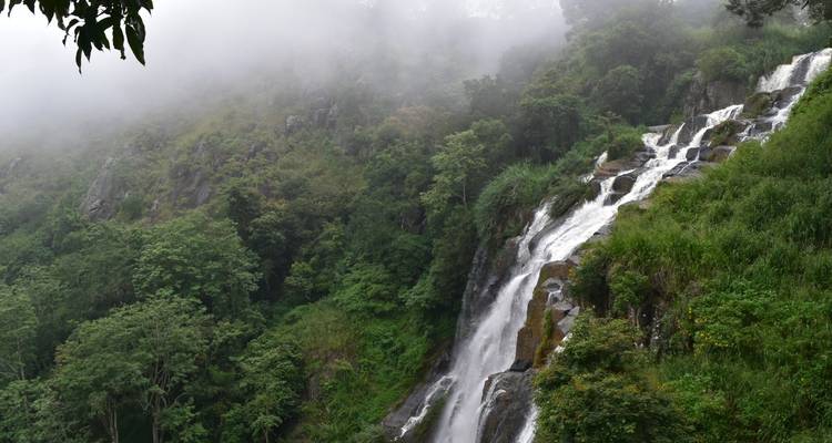 Circuito de 6 días y 5 noches por Sri Lanka - Cambio gratuito a circuito privado - Beauty Lanka Travels 9