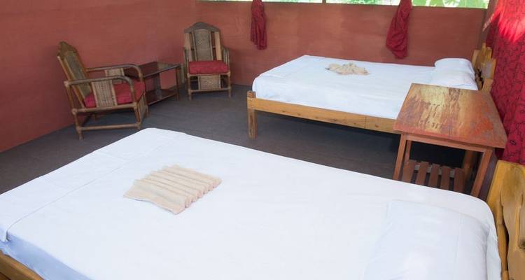 6-Day Iquitos Jungle Tour at Maniti Eco-Lodge - Maniti Expeditions 4