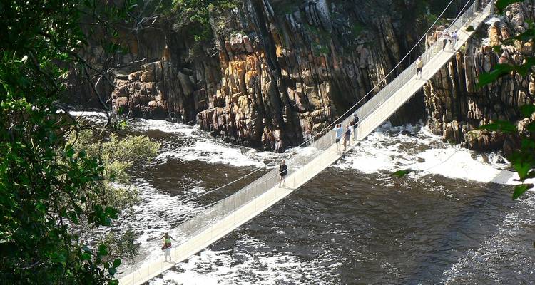 Aventure sur la Route des jardins, y compris Addo - 5 jours - Bokbus Garden Route Adventure Tours & Safaris 3
