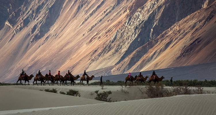 Des chameaux avec des personnes faisant du trekking sur des dunes de sable avec des montagnes en arrière-plan dans la vallée de Nubra.