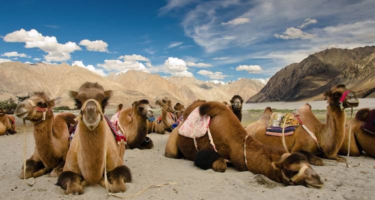 Scintillating Ladakh Experience - GeTS Holidays 6