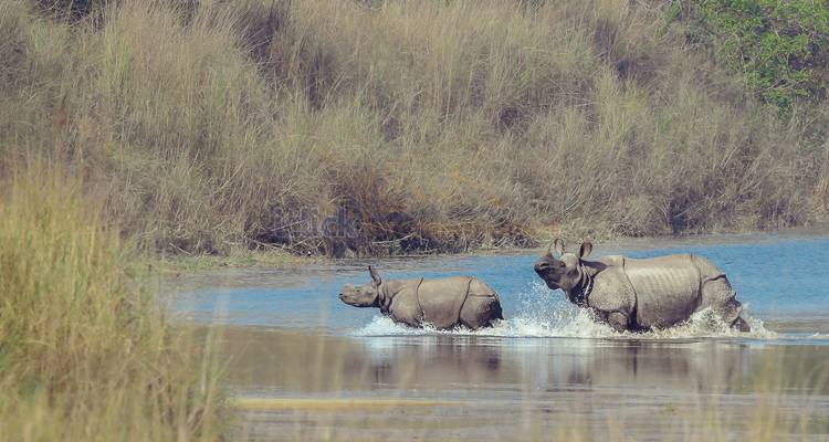 Toutes les vacances au Népal - Friendship Nepal Tours & Travels P. Ltd. 2