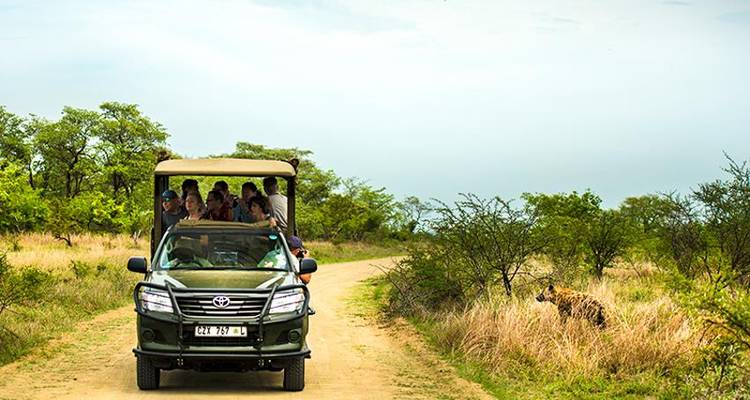 Kruger, Eswatini et Lesotho Safari 14J/13N - Bamba Travel 8