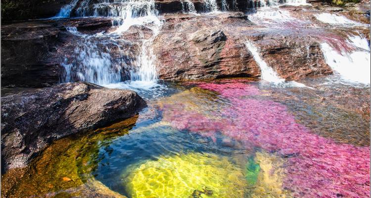 7 jours Eaux arc-en-ciel et lumières de la ville - Les merveilles de la Colombie - Responsible Travel South America 1