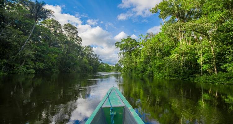 4 Days Amazon Lodge Cuyabeno Reserve - Responsible Travel South America 3