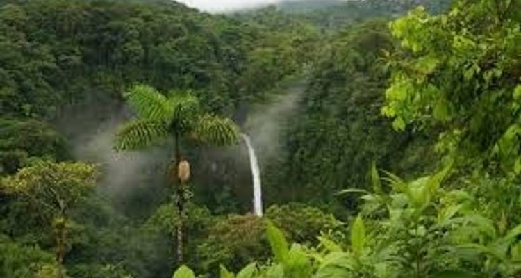 Les points forts de l'Inde du Sud - Kerala avec séjour en bateau à moteur - K K Holidays N Vacations  6
