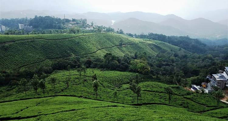 Les points forts de l'Inde du Sud - Kerala avec séjour en bateau à moteur - K K Holidays N Vacations  9