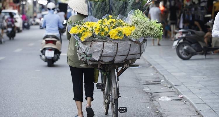 Camboya, Vietnam y Laos inspiradores (Grupos reducidos) - Luxury Gold 2