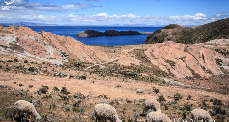 12 jours De la splendeur des Andes aux salines d'Uyuni : Un voyage à travers la Bolivie - Responsible Travel South America 7